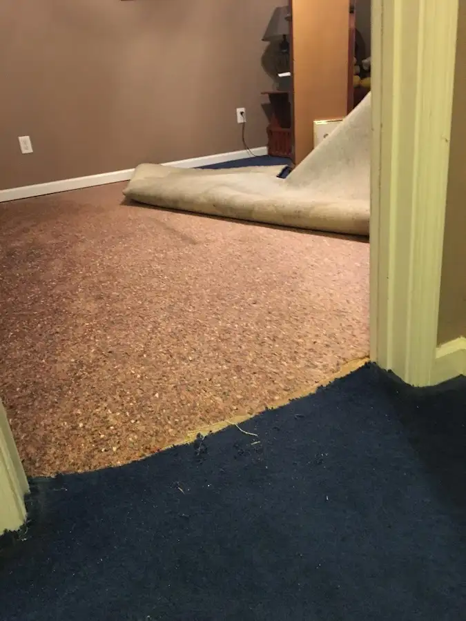 Carpet pad removal revealing water damage during Drying & Dehumidification in Redland
