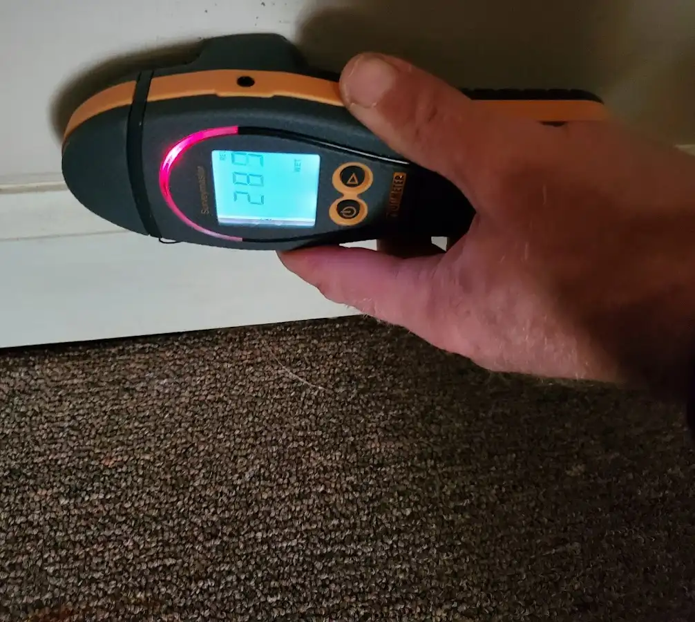 Moisture detection at baseboard during Mold Inspection & Testing in Redland
